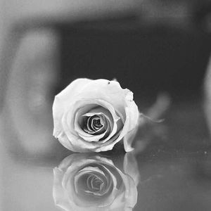 Meet your Posher, Rita